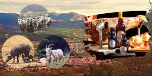 Esperienza fotografica a Norcia panorami, animali & food
