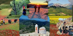 destinazione di viaggio per escursioni da regalare a natale